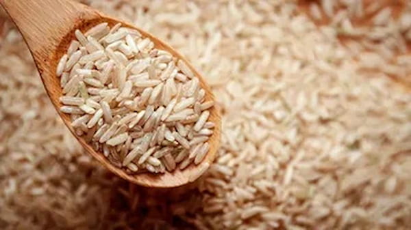 تصویر 2 از فروش برنج عنبر بو اصل + قیمت خرید به صرفه